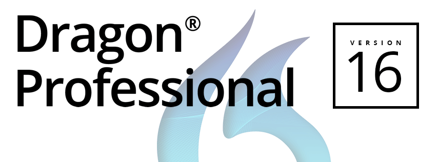 Dragon Professional 16