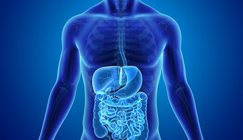 gastroenterology dragon medical