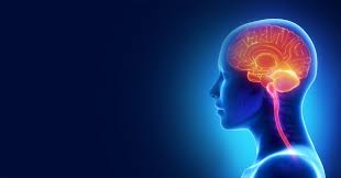 Neurosurgery - Dragon Medical voice to text demonstration in Genie solutions