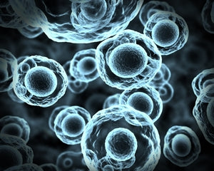 Improving oncologist performance with Dragon Medical